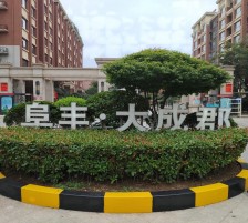阜丰·大成郡